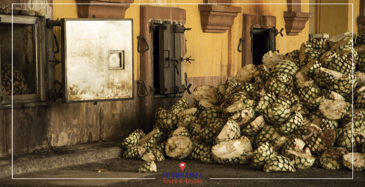 Tour to Hacienda San José del Refugio: The Origin of Tequila Herradura