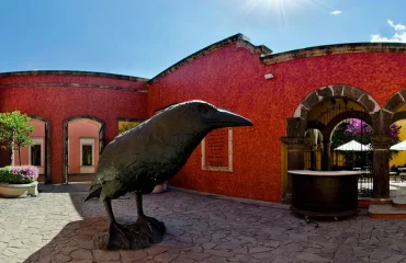 Tequila Tour Jose Cuervo Distillery From Guadalajara
