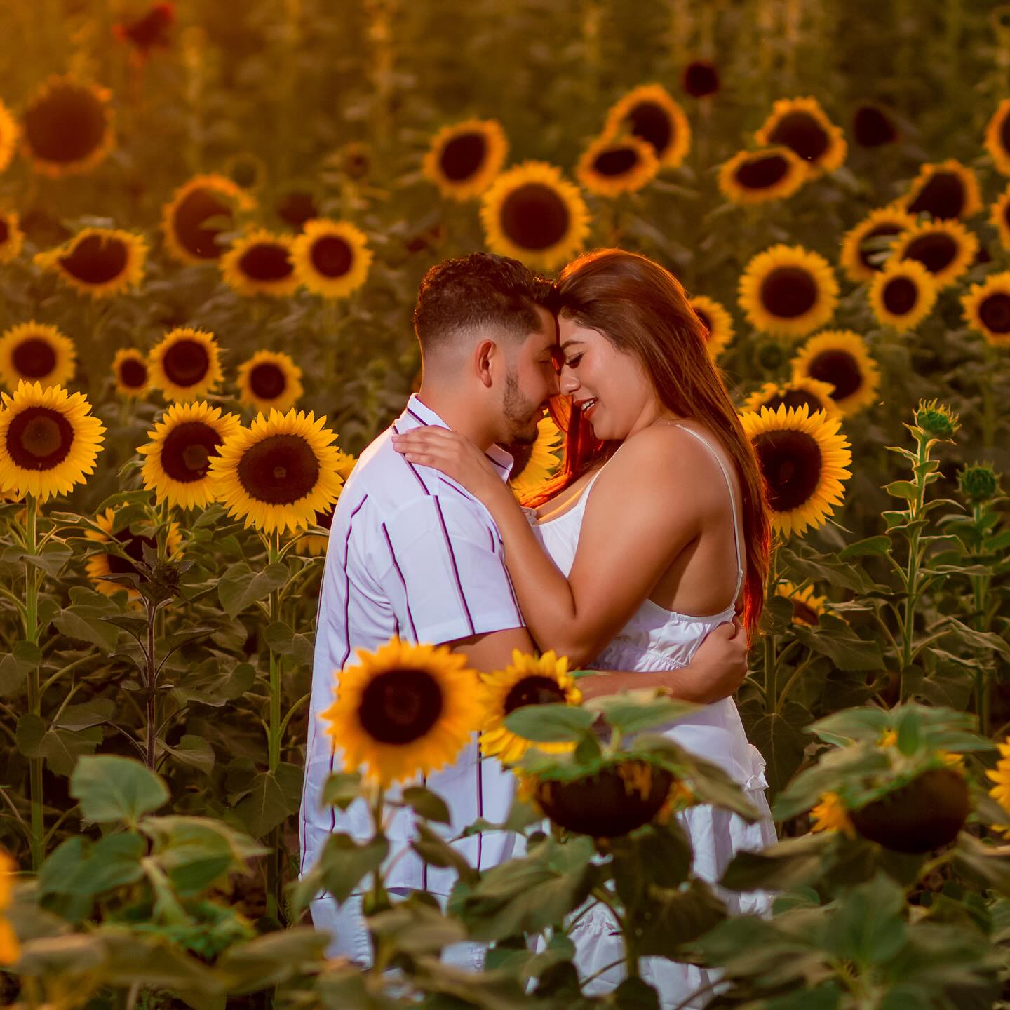 Sunflower Tour in Guadalajara photo shoot