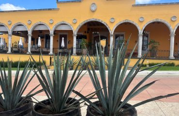 Tequila Ocho in Arandas Jalisco Los Altos Mexico