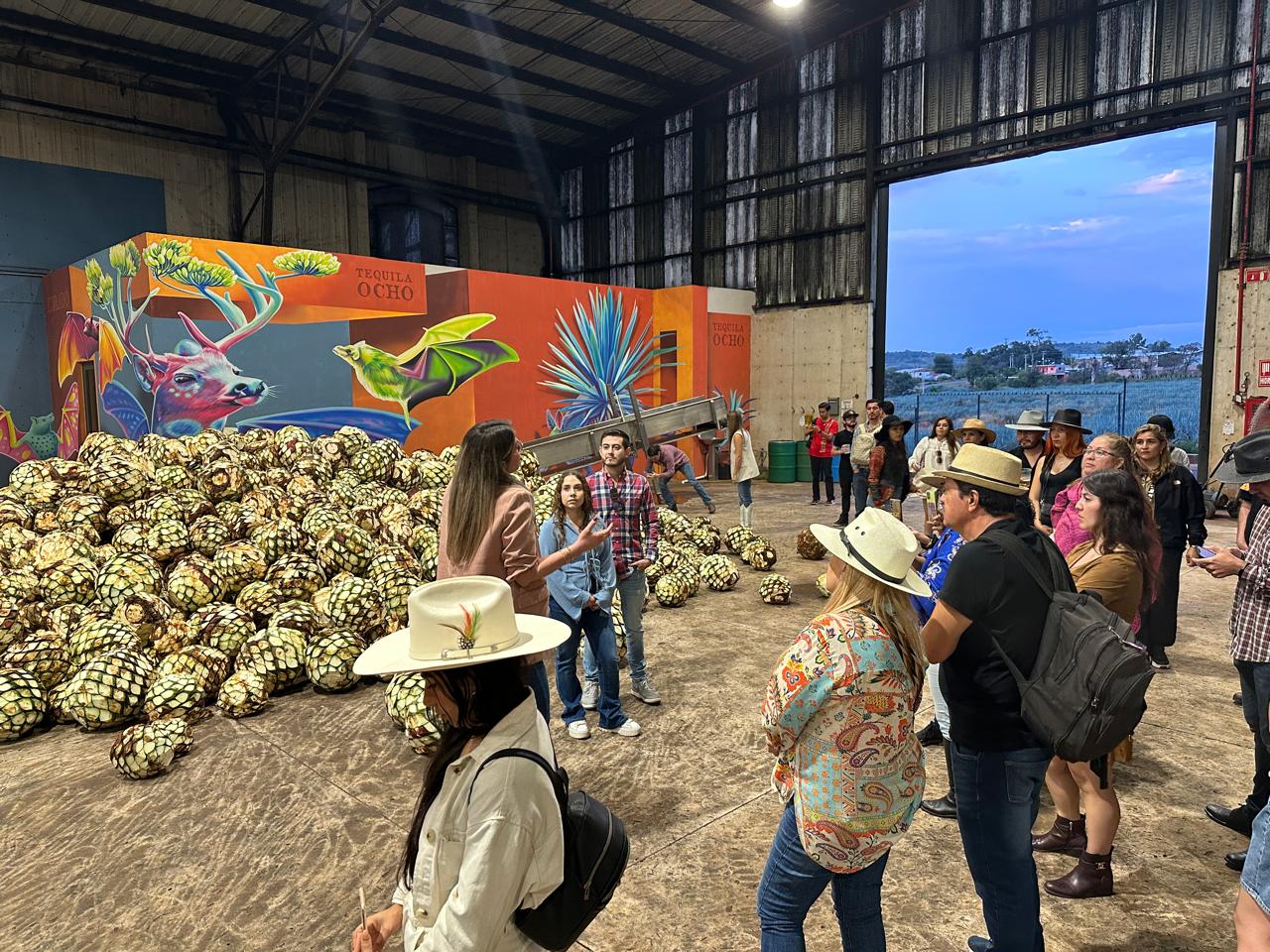 Tour Tequila Ocho in the Hearland Arandas jalisco Mexico