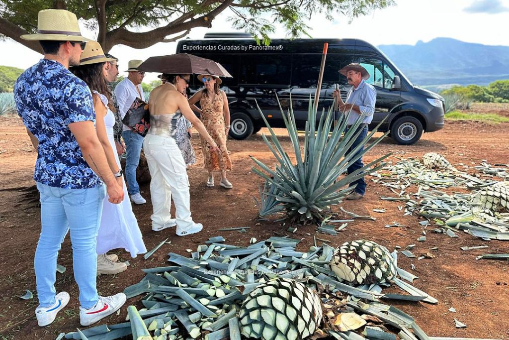 Tequila Curated Experience in Jalisco Mexico