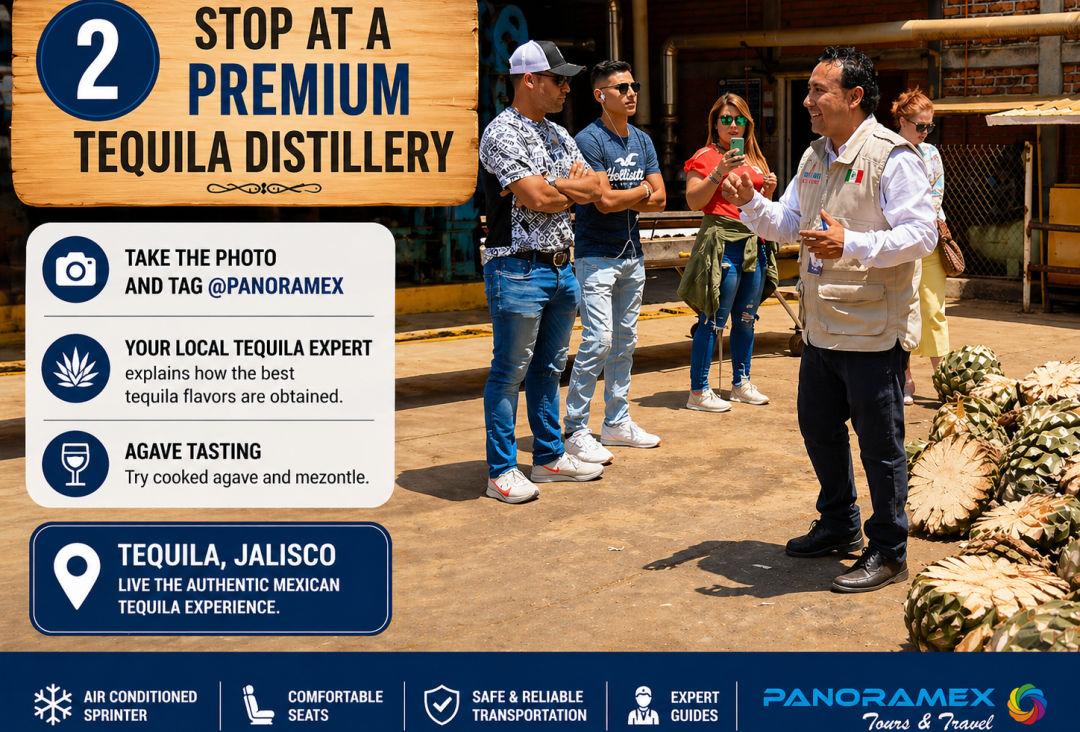Luxury Private Tequila Tour from Guadalajara