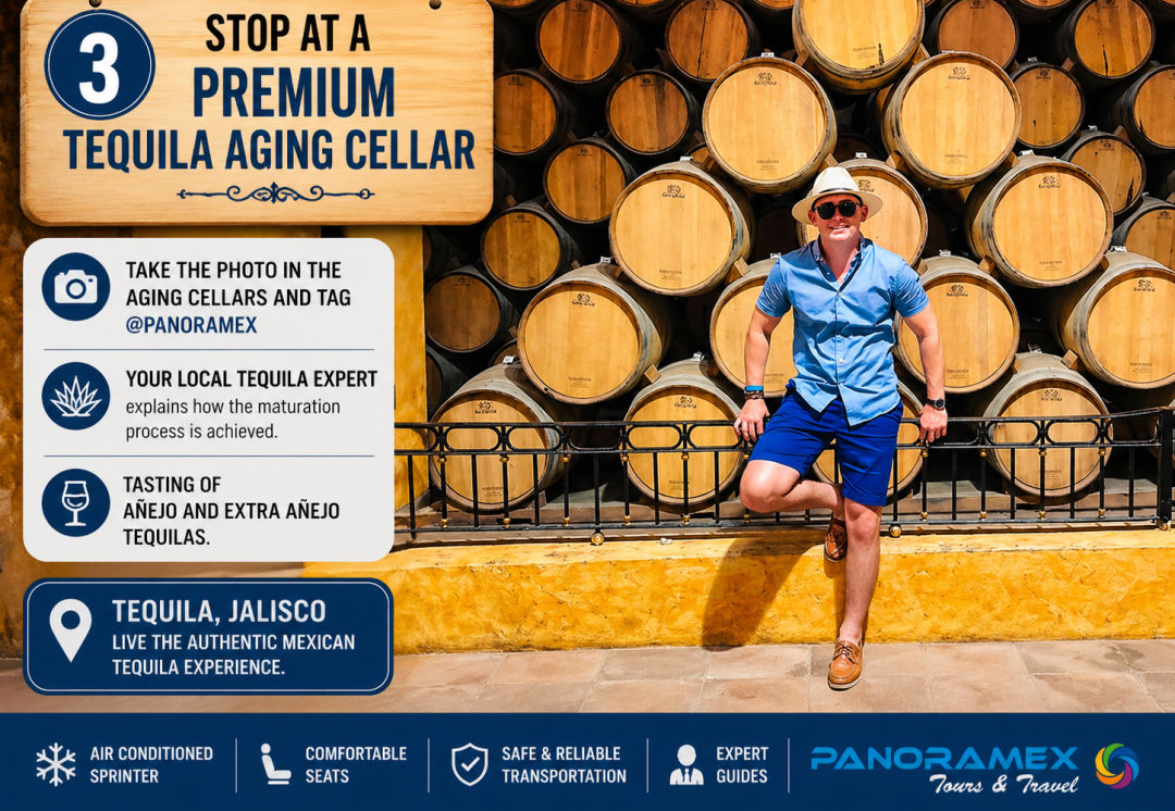 Luxury Tequila Jima Experience from Guadalajara