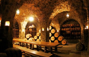 Tequila Curated Experience in Jalisco Mexico