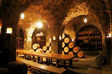 Tequila Curated Experience in Jalisco Mexico