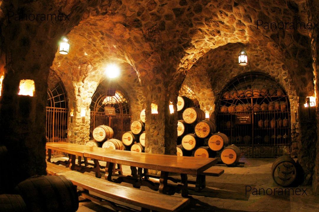 Tequila Curated Experience in Jalisco Mexico