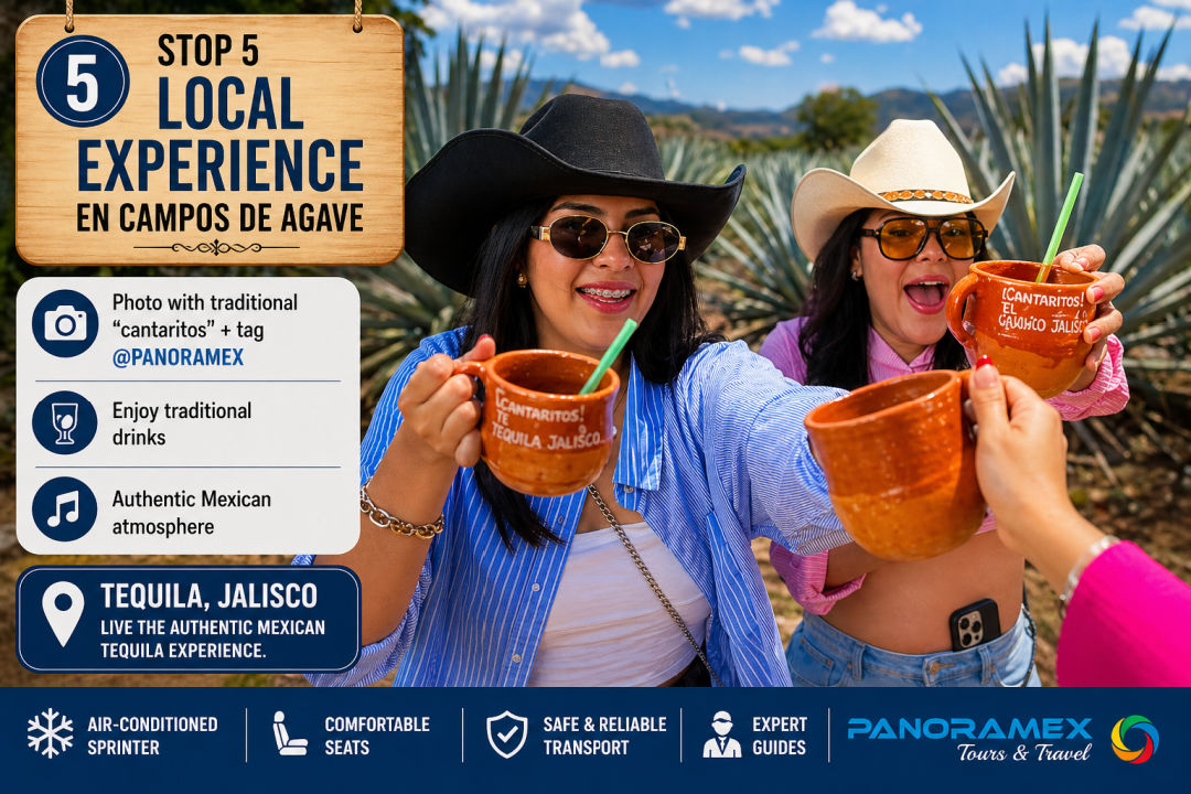 Tequila Tour Premium desde Guadalajara Jalisco