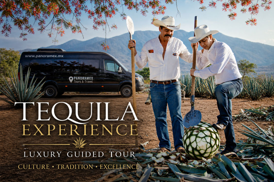Tequila Icebreaker Experience for Wedding Guests in Guadalajara